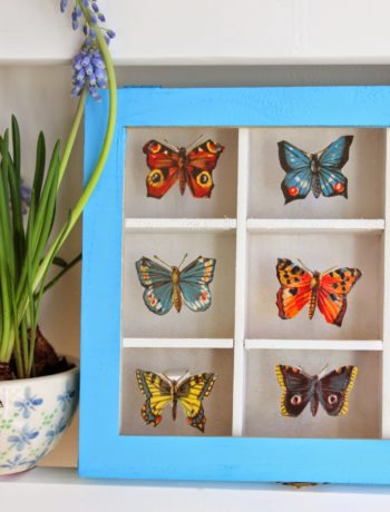 DIY: Schmetterlings-Sammelkasten mit Stammbuchbildchen