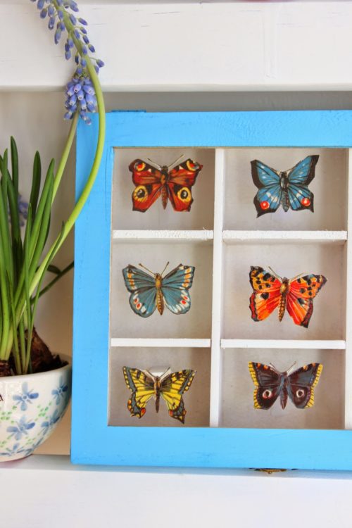 DIY: Schmetterlings-Sammelkasten mit Stammbuchbildchen