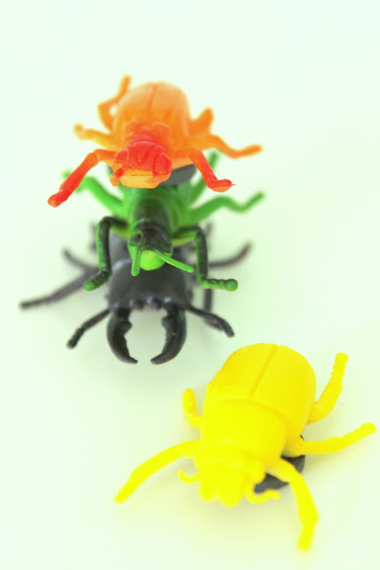 DIY für Kinder - die Käfer sind los