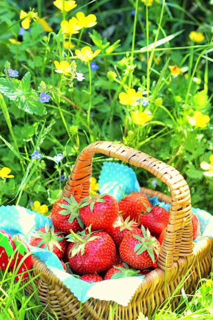 ♥ Erdbeerliebe + Erdbeersirup ♥