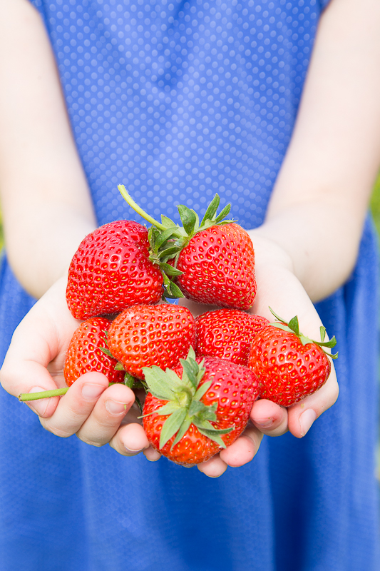Sommer + Erdbeeren = Marmelade