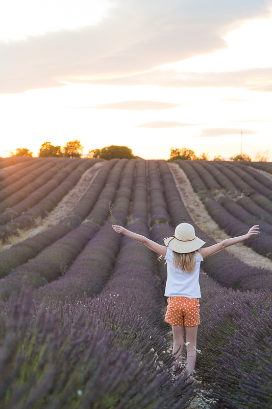 Du wunderschöne Provence - ein Sommer in Frankreich