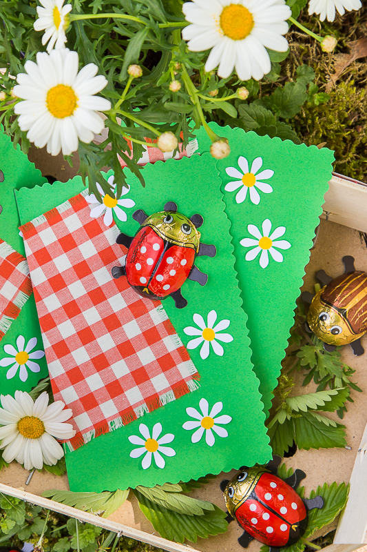 Ein Picknick Kindergeburtstag feiern mit kreativen Ideen